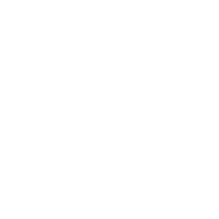 Digital Credit