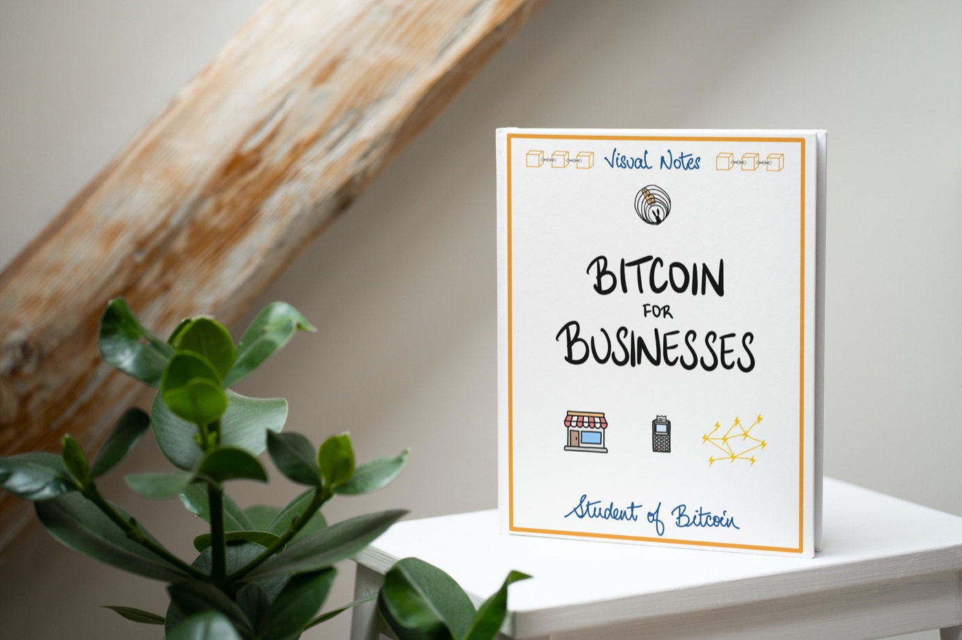 Bitcoin for Businesses, visual notes cover